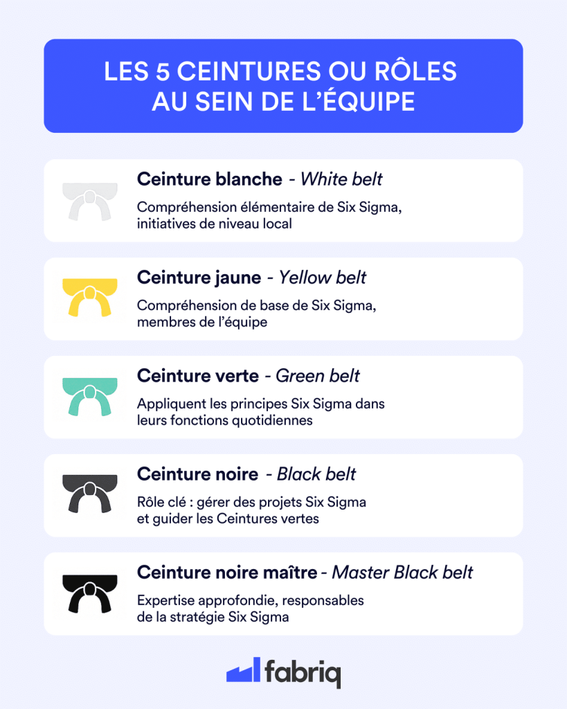Les 5 ceintures ou rôles au sein de l'équipe, selon la méthodologie Six Sigma